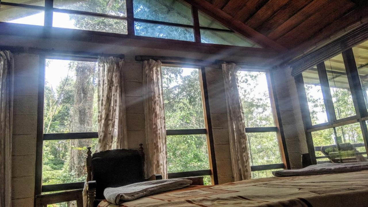 Jungle Jive Treehouse And Farm House Munnar Exterior photo