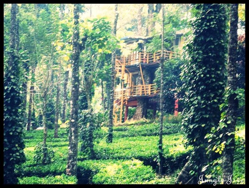 Jungle Jive Treehouse And Farm House Munnar Exterior photo