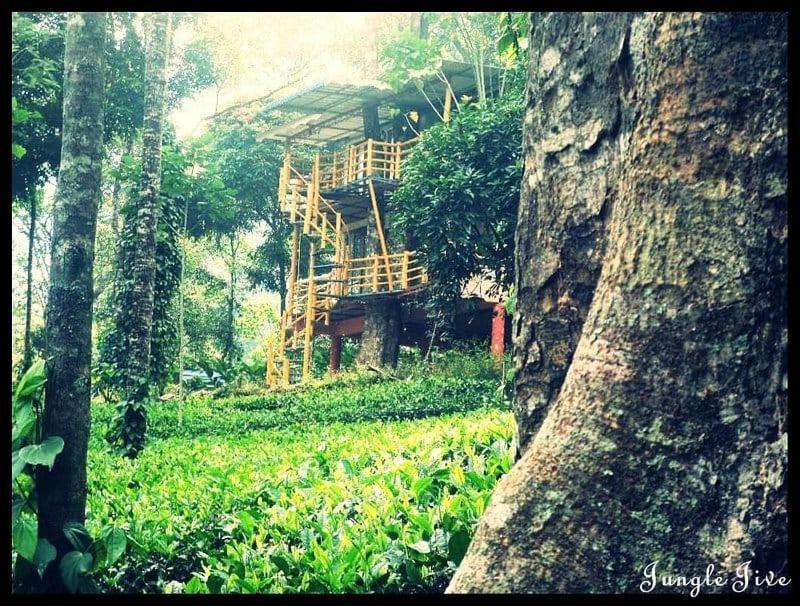 Jungle Jive Treehouse And Farm House Munnar Exterior photo