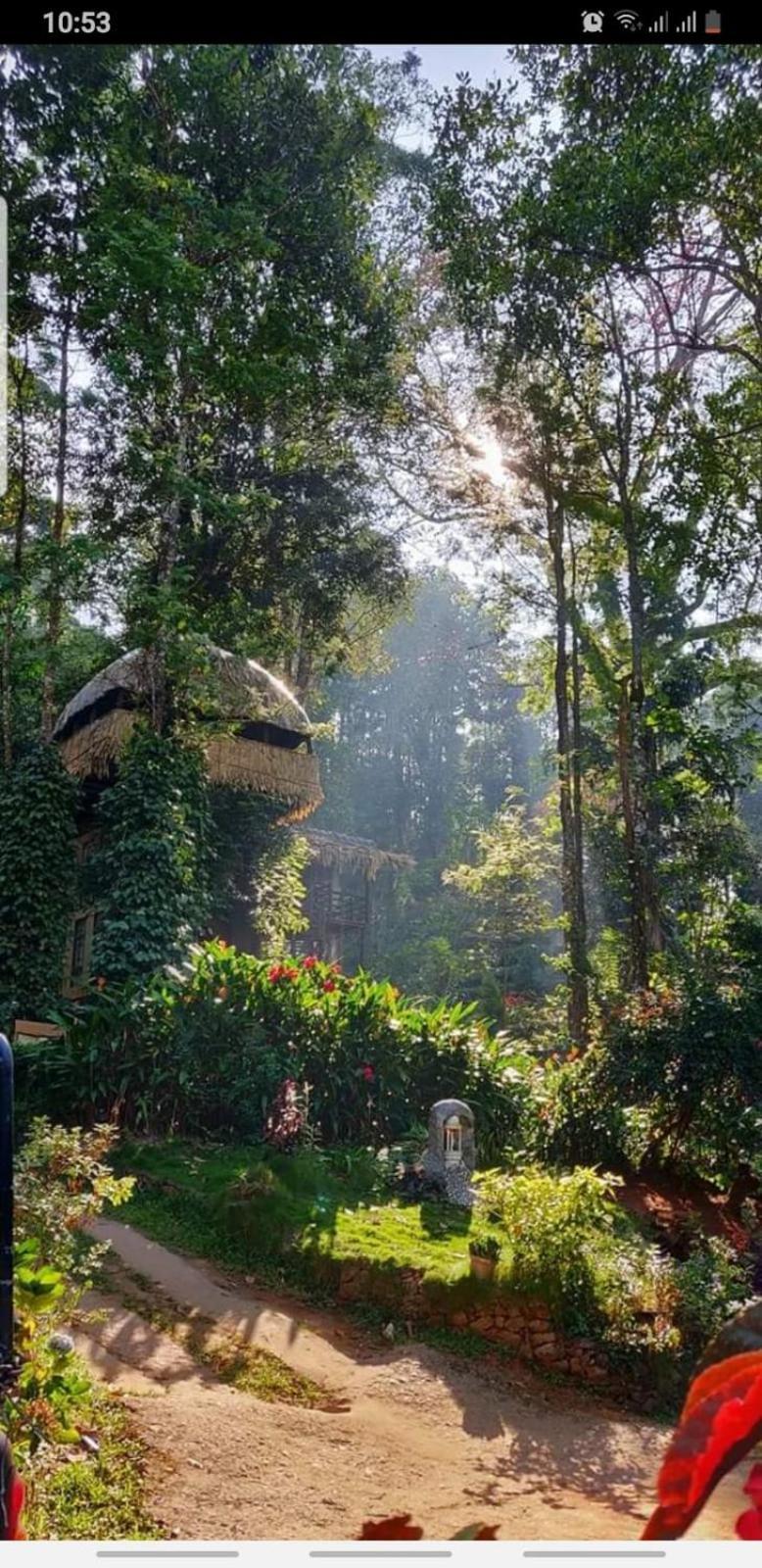 Jungle Jive Treehouse And Farm House Munnar Exterior photo
